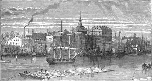Savannah.