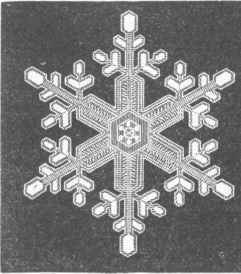 Snow 150045