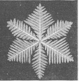 Snow 150046