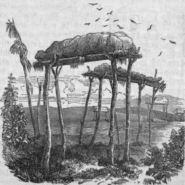 Aboriginal Burial.
