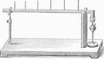 Diseases Of The Heart 0800390