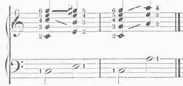 Harmony 0800345