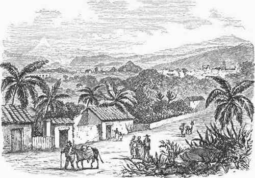 Jalapa.