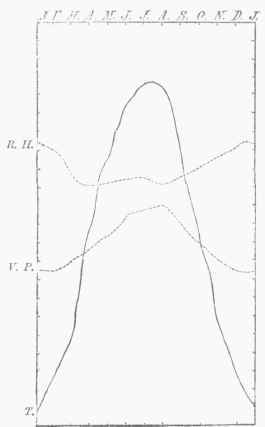 Diagram X. Annual Changes of Relative Humidity (R. H.), of Vapor Pressure (V. P.), and of Temperature (T.).