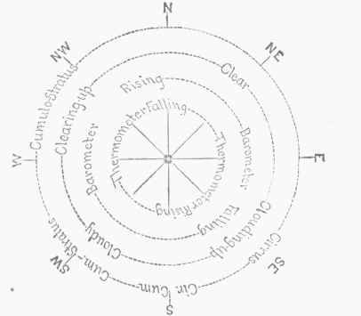 Diagram XVI. Weather Rose for Central Europe.