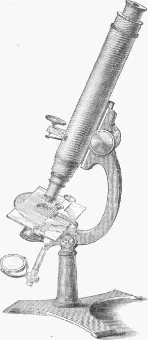 Microscope 1100266