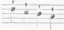 Misic 120071