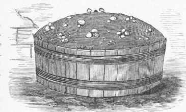 Mushrooms grown in a Cask.