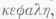 Acephalocyst 10036