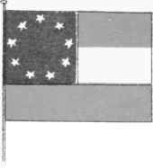 CONFEDERATE FLAG