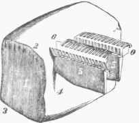 Fig. 5. Section of the Shaft and Vane magnified.