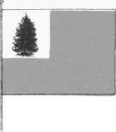 PINE TREE FLAG.