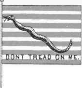 RATTLESNAKE FLAG.