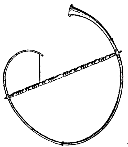 Fig. 1.  Buccina in the National Museum, Naples.