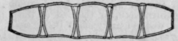 Support For Stiff Necks 26