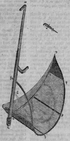 Common scythe