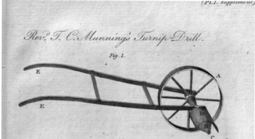 turnip drill