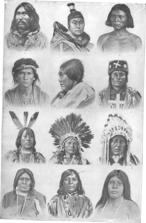 Description images/pp0077 1