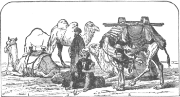 Description images/pp0346 1
