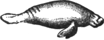 Description images/pp0032 2