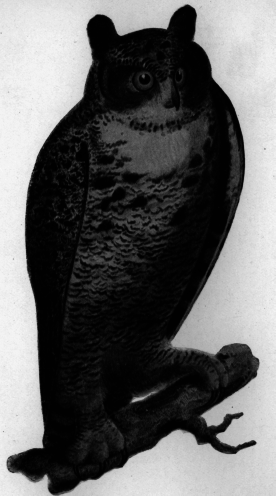Description images/pp0296 1