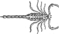 Description images/pp0013 1