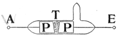 Description images/pp0192 2