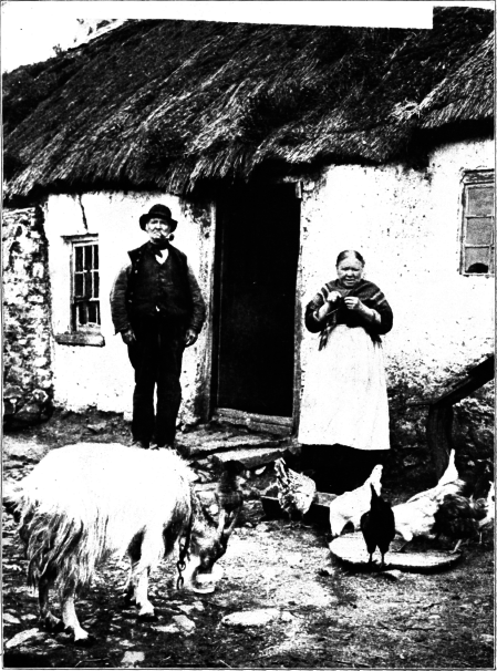 A Hospitable
Home In Ireland