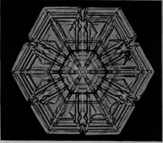 A Rare
Beautifully Etched Crystal