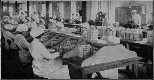 Wrapping and Packing Department