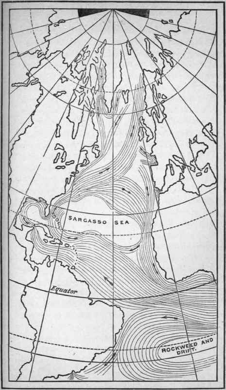 Oceanic Circulation 2