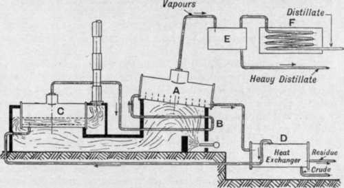 Fig. 143.   Brown Pickering plant.