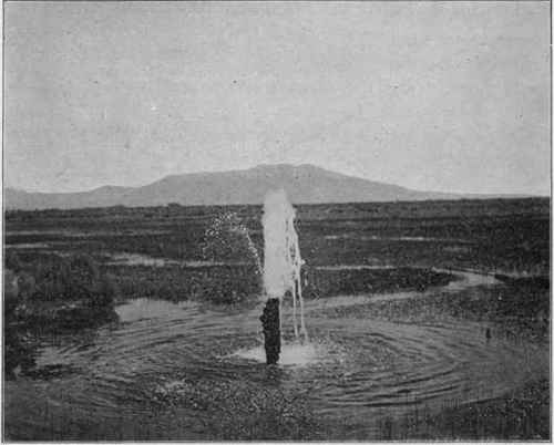 An artesian well. (U. S. G. S).
