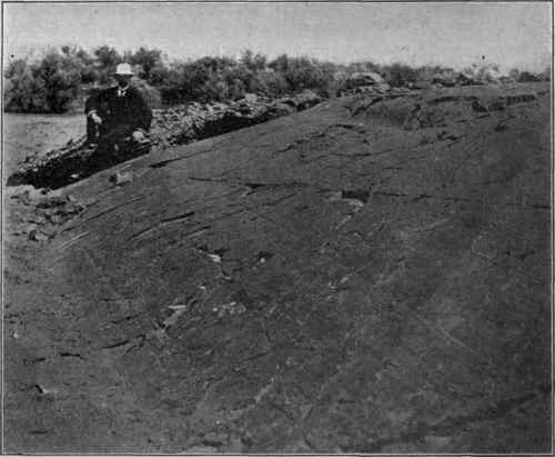 Ancient glacial striae (Permian); Riverton, on the Vaal River, South Africa. (R. B. Young).