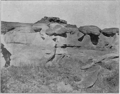Concretions in Laramie sandstone, exposed by weathering.