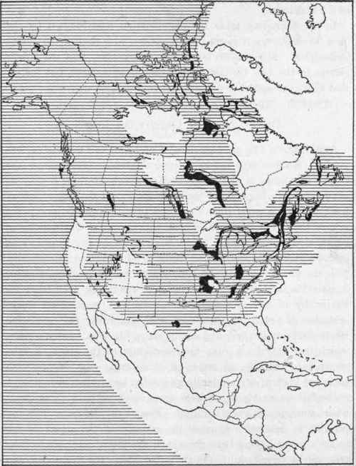 Generalized map of North America in the Ordovician period.