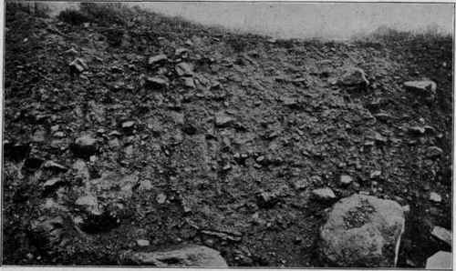 Glacial drift, Bangor, Pa. (U. S. G. S).