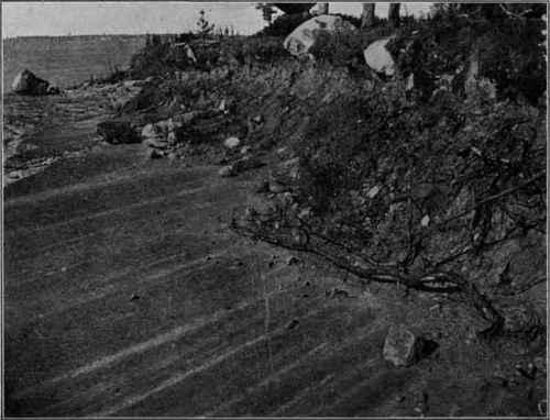 Glacial striae on limestone, overlaid by drift; Pillar Point, Lake Ontario. (U. S. G. S).