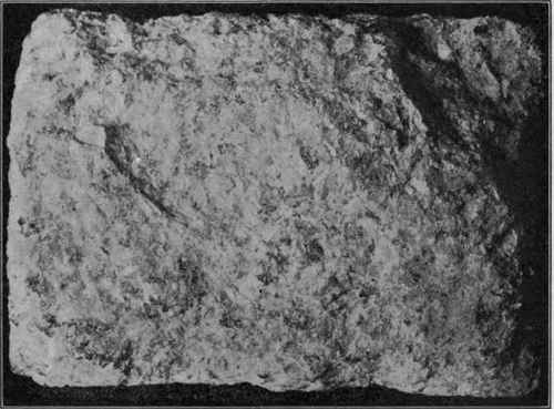 Hand specimen of granite, natural size.