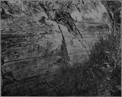 Horizontal slickensides, Oklahoma. (U. S. G. S).
