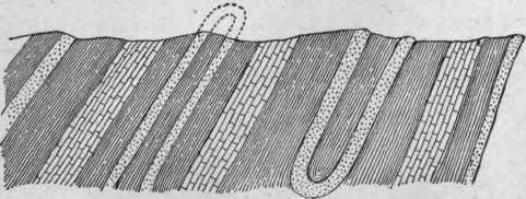 Inclined isoclinal folds, eroded. (Willis).