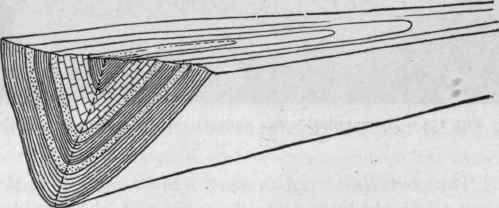 Model of syncline. (Willis).