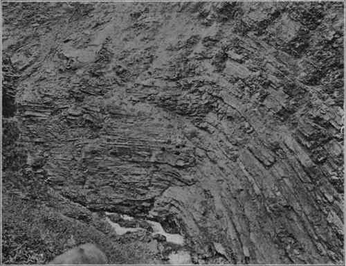 Monoclinal fold. Mead River, Alaska. (U. S. G. S).