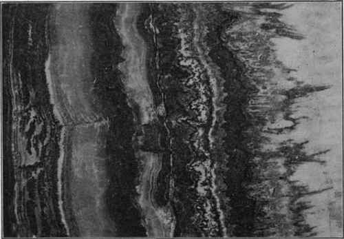 Piece of banded travertine polished, natural size.