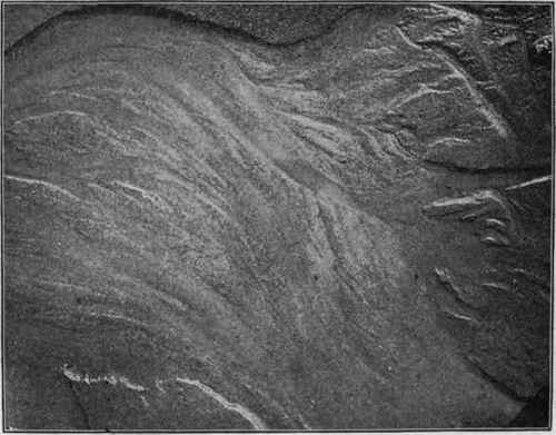 Rill marks on modern sandy beach. (U. S. G. S).