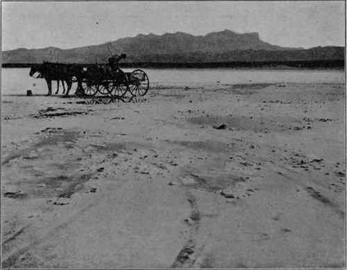 Salt deposit, El Paso, Texas. (U. S. G. S).