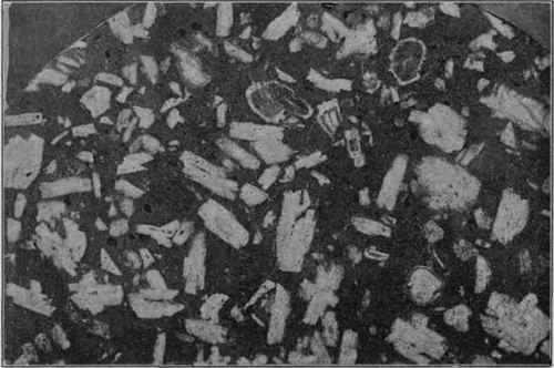 Slab of polished porphyry, natural size. Phenocrysts of felspar.