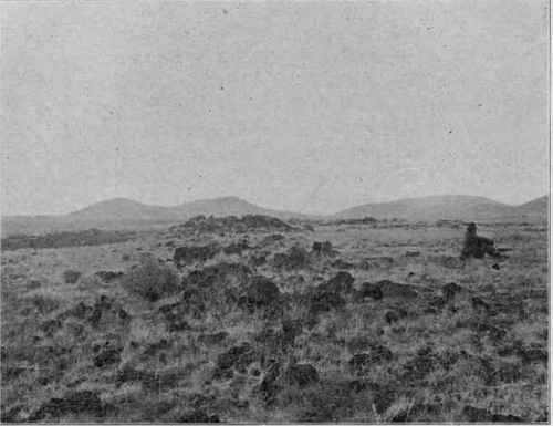 Volcanic topography, northern Arizona. (U. S. G. S).