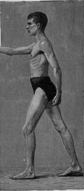 Physical Characteristics Of The Athlete 22