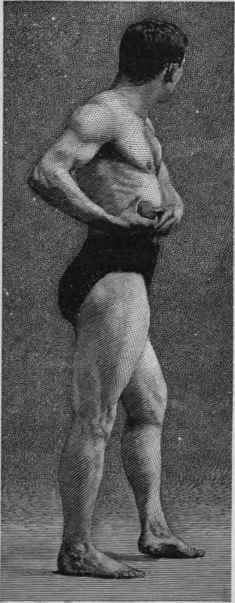 Physical Characteristics Of The Athlete 45